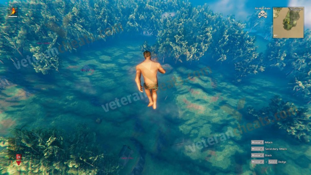 valheim1veterancheats.jpg