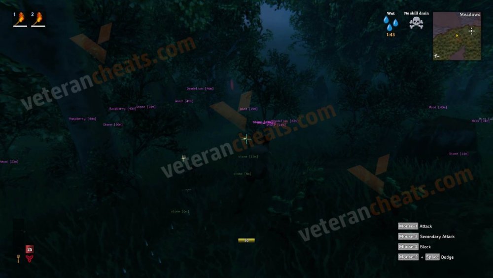 valheim3veterancheats.jpg