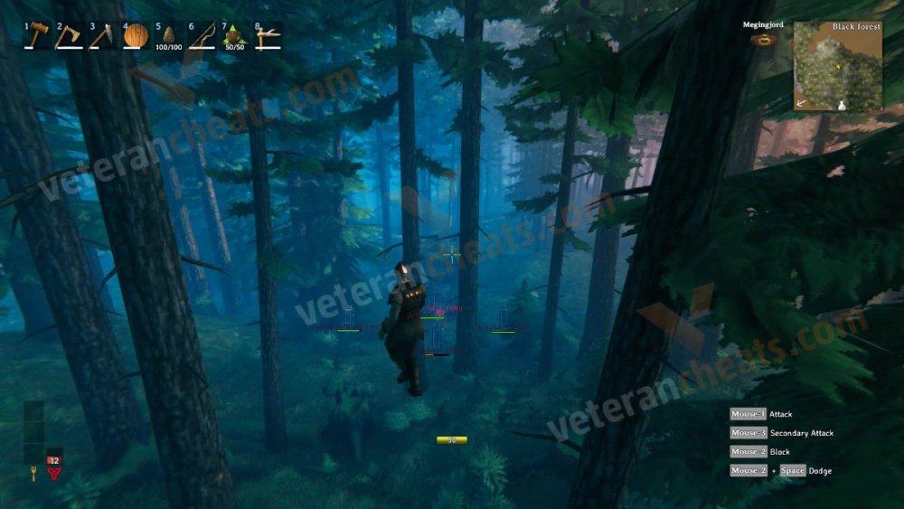 valheim4veterancheats.jpg
